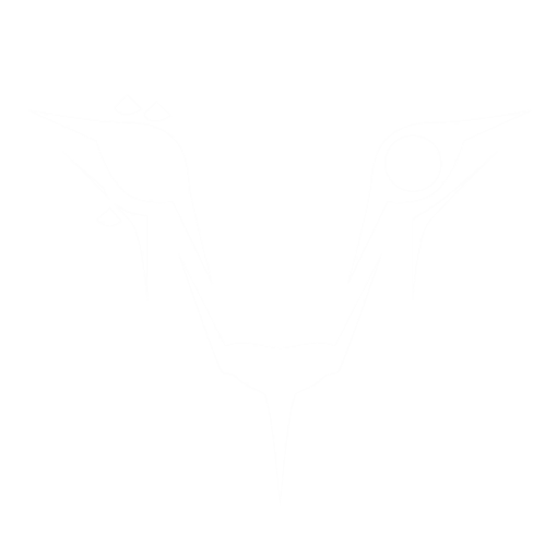 萨尔贡